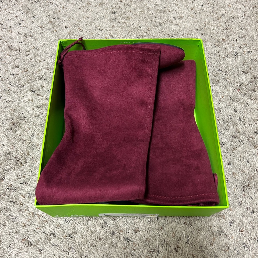 Stuart Weitzman genna 60 over the knee suede boot - Picture 7 of 9